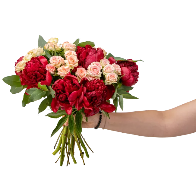 Bouquet of peonies